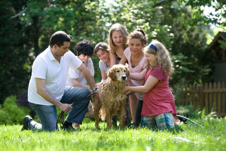 A family plays with their dog in the yard.