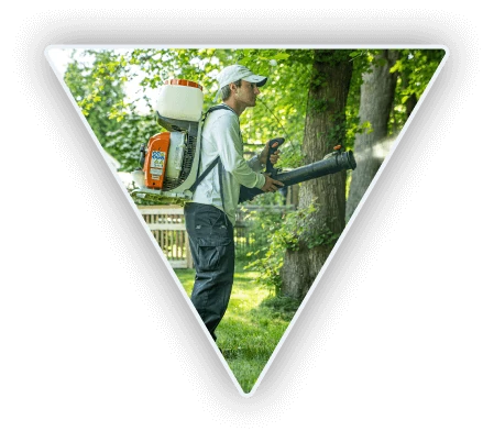 Man spraying for mosquitos in an area with lots of trees